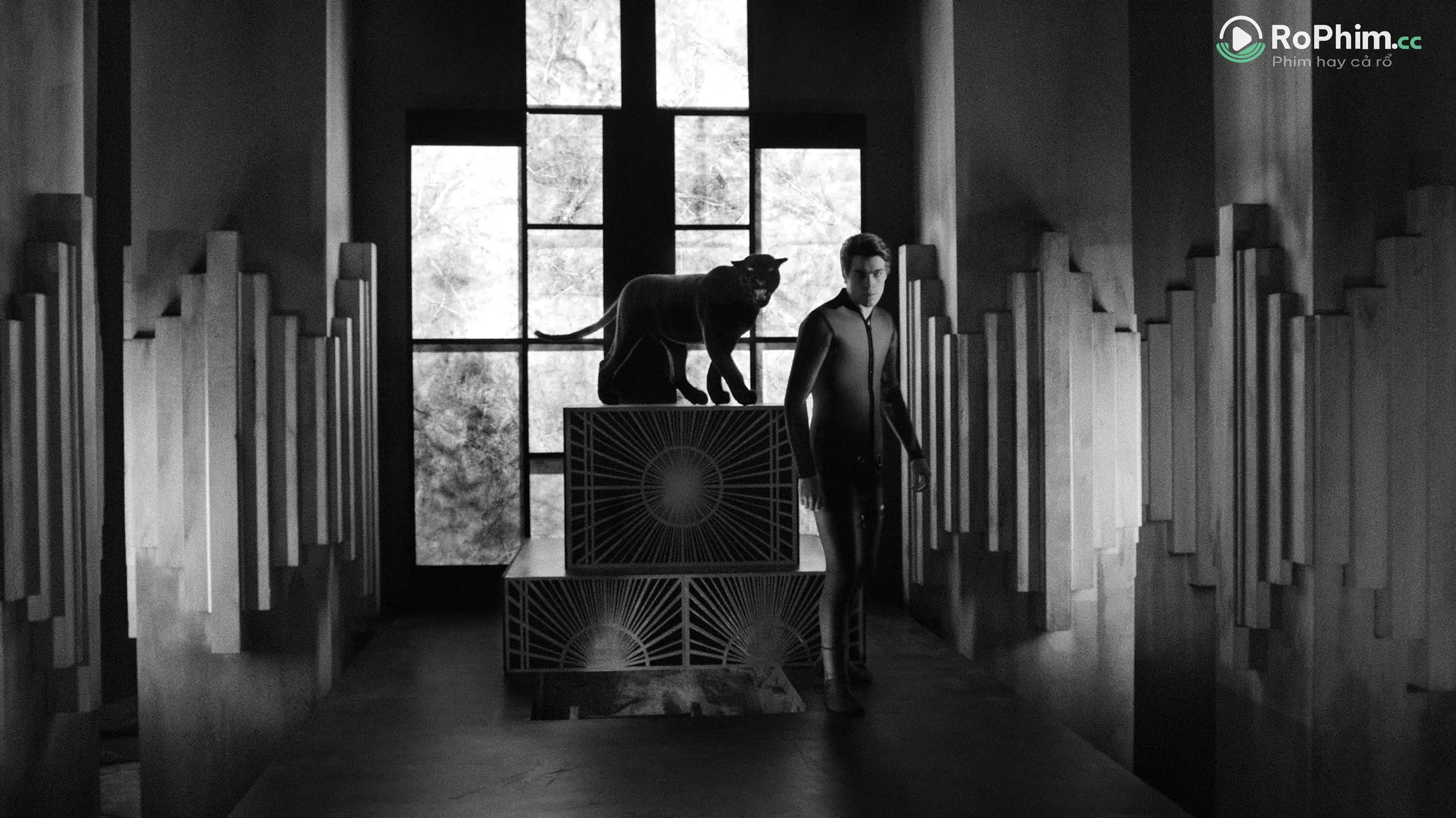 Diabolik: Bí Ẩn Của Bạn Tập Full