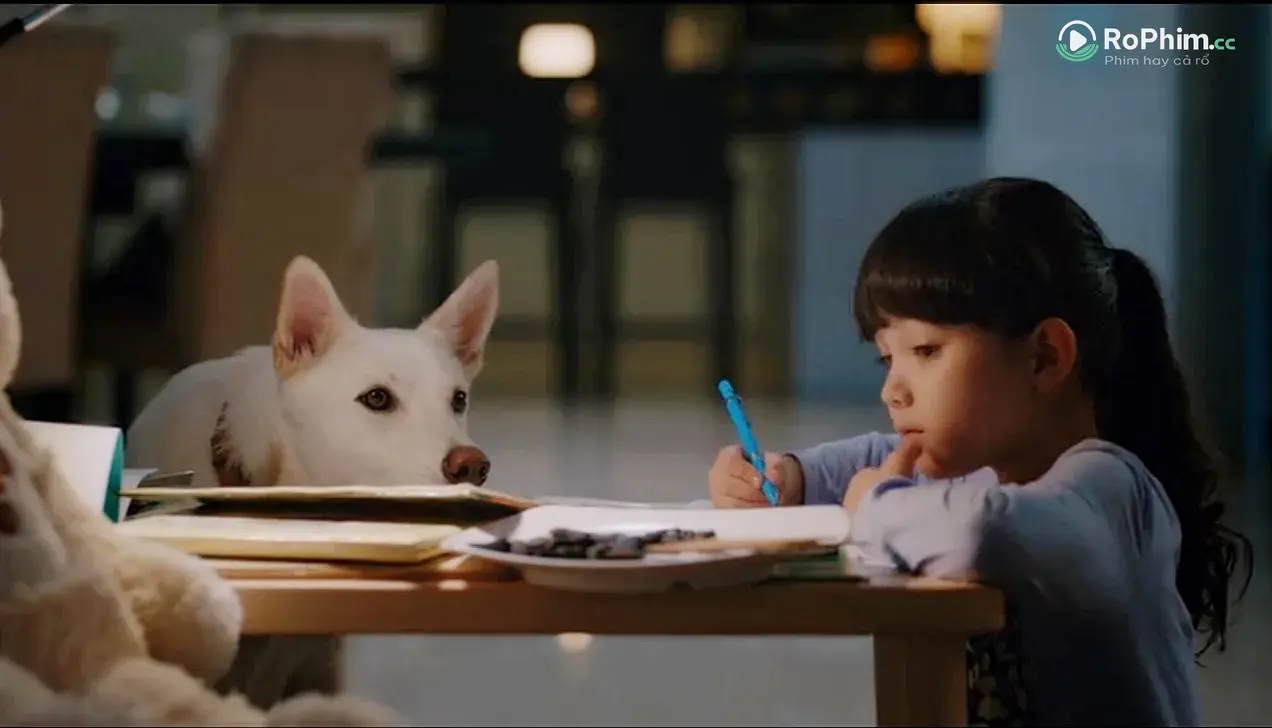 June Và Kopi: Cuộc Phiêu Lưu Mới Tập Full