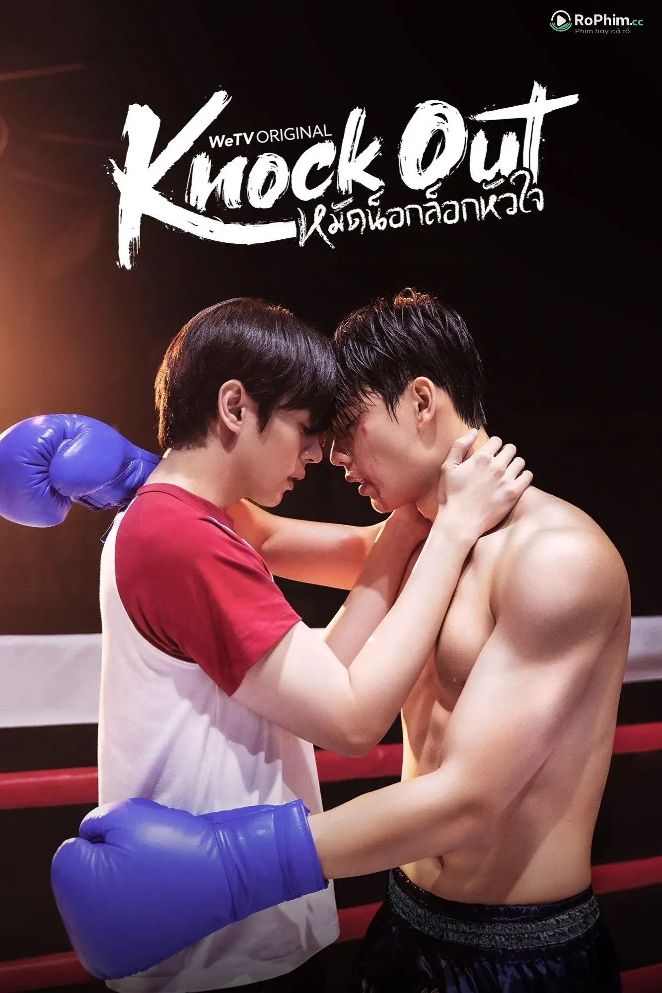 Knock Out: Chạm Đáy Đam Mê