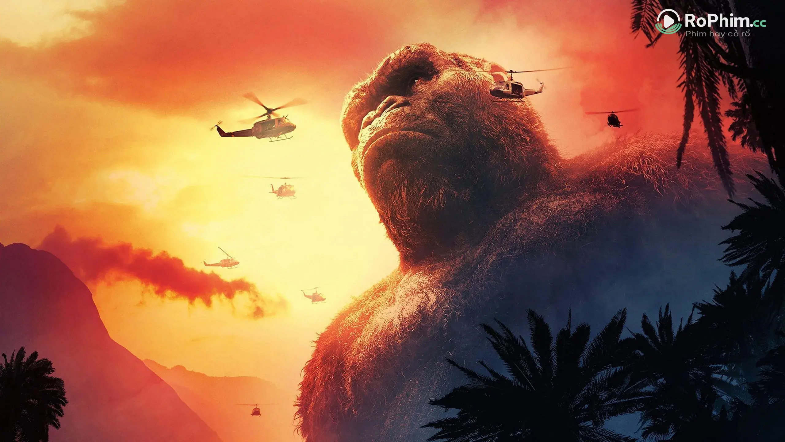 Kong: Đảo Đam Mê Tập Full