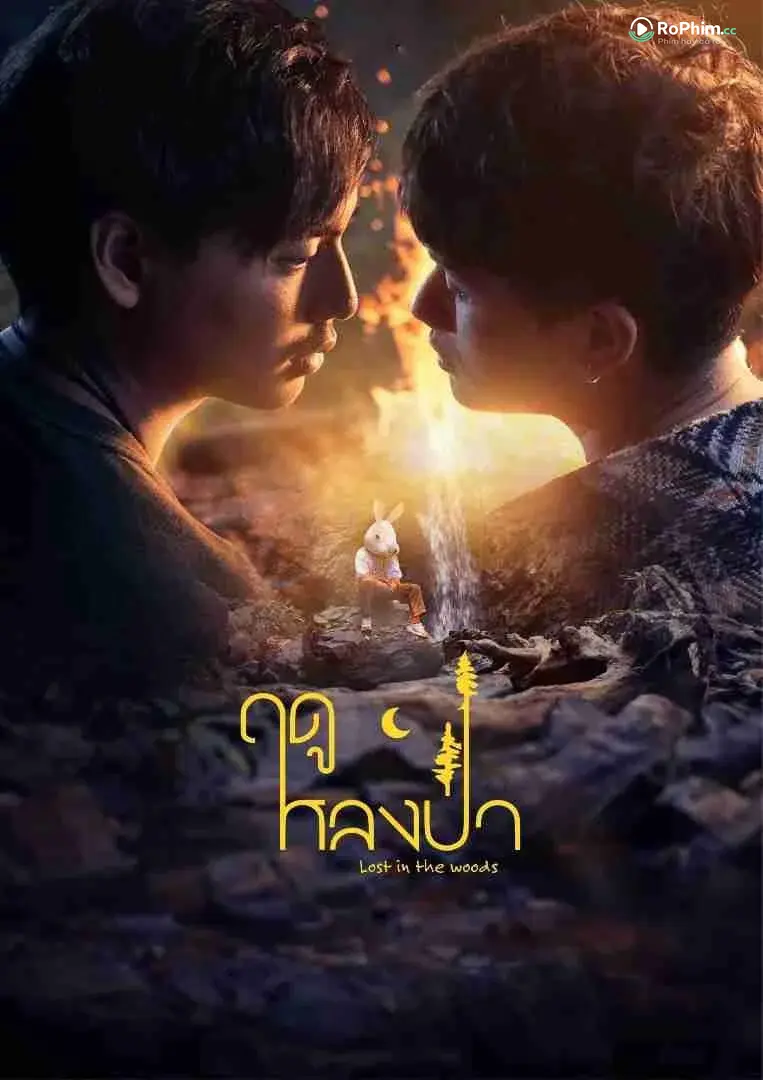 Mùa Yêu Trong Rừng