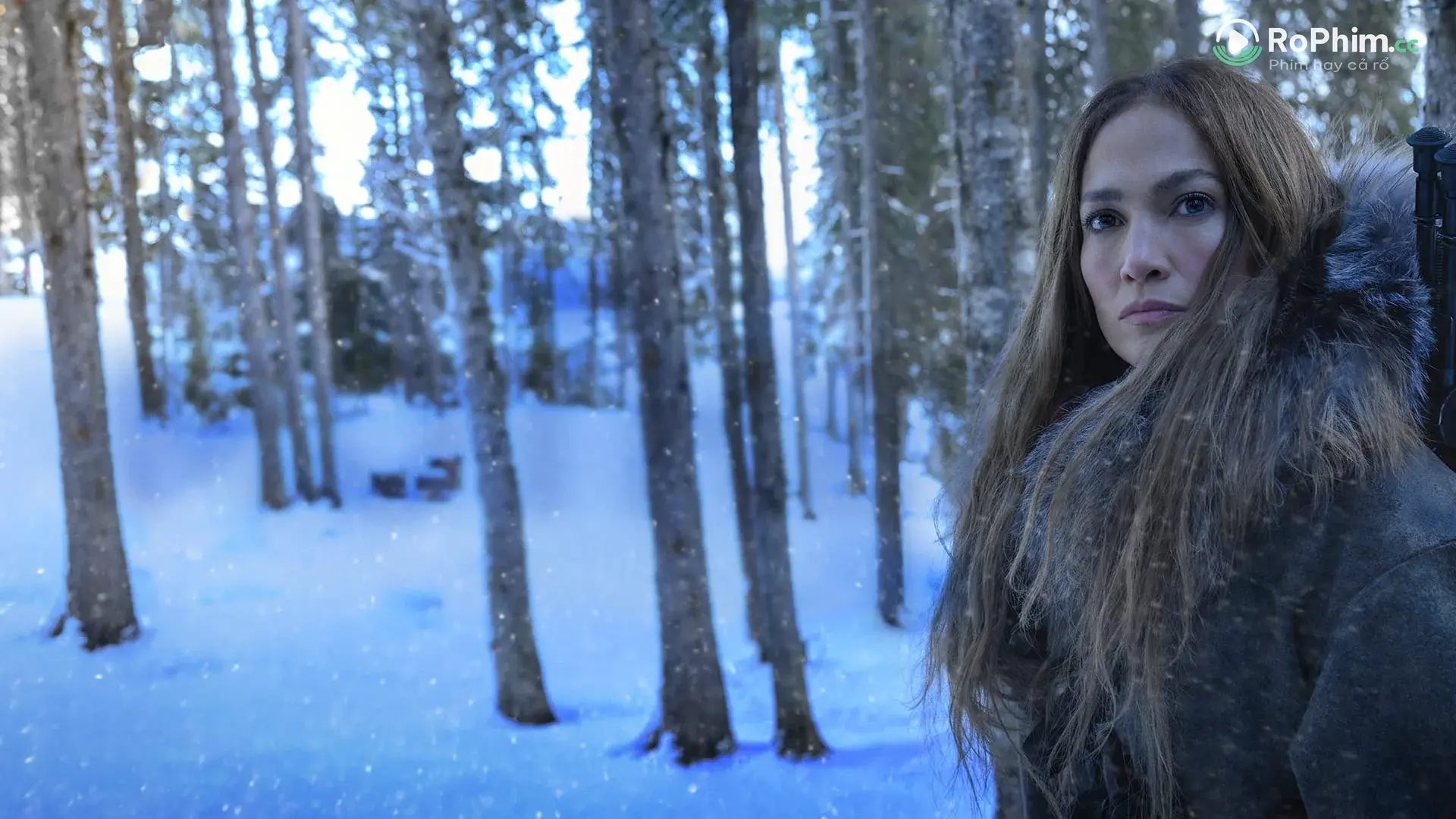 Người Mẹ Bướm Đêm Tập Full