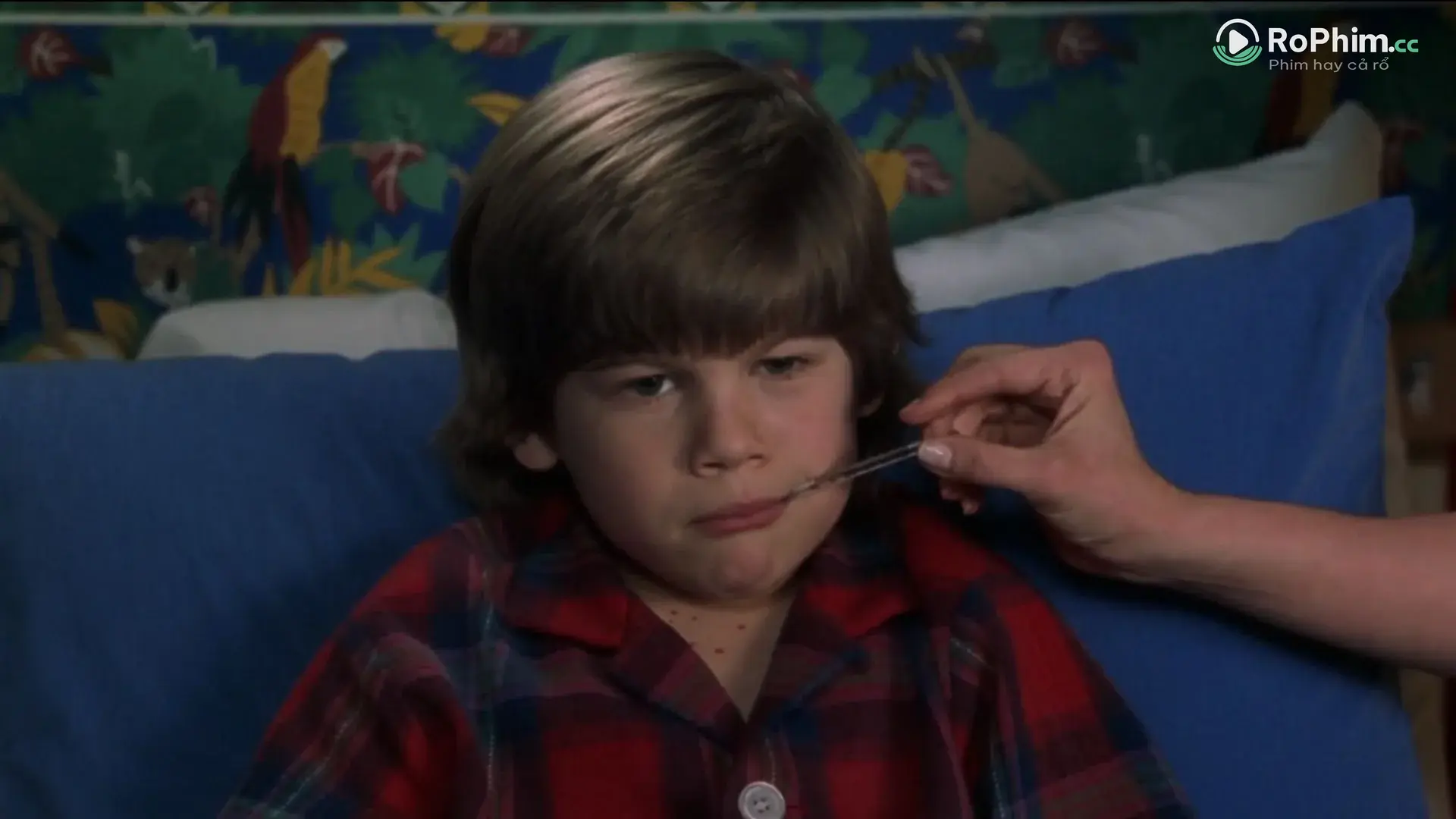 Ở Nhà Một Mình 3: Cuộc Phiêu Lưu Bị Cấm Tập Full