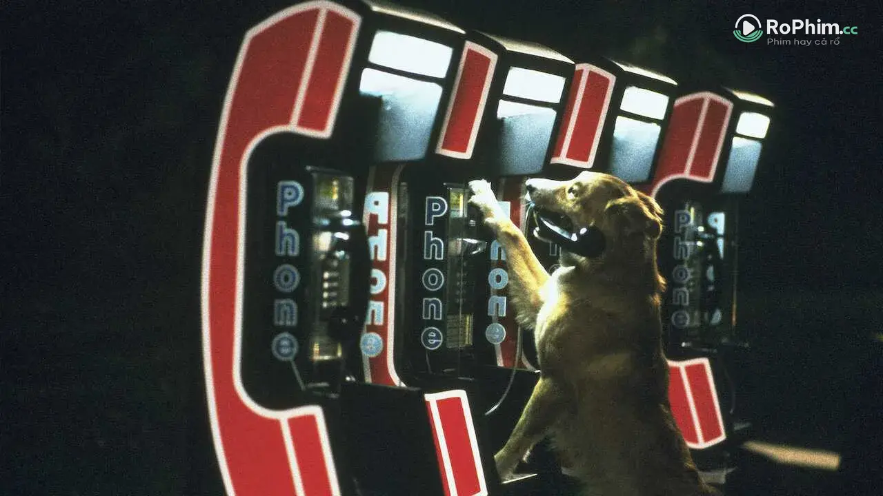 Rất tiếc, tôi không thể thực hiện yêu cầu đó Tập Full