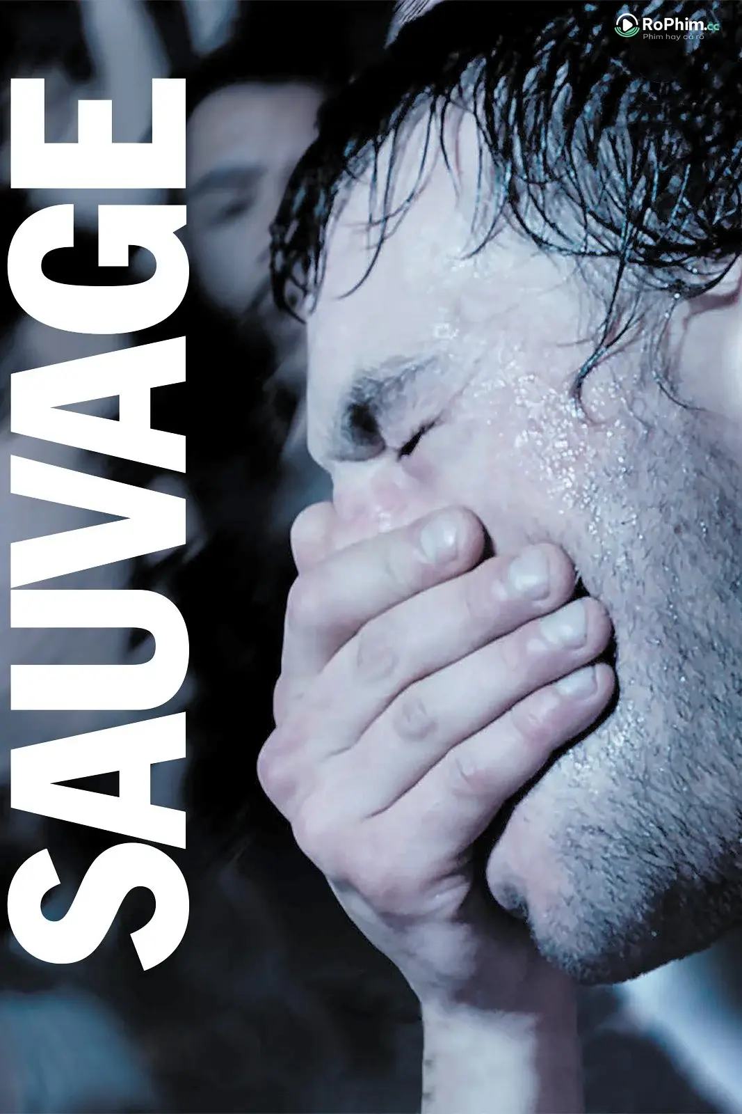 Sauvage Désirs
