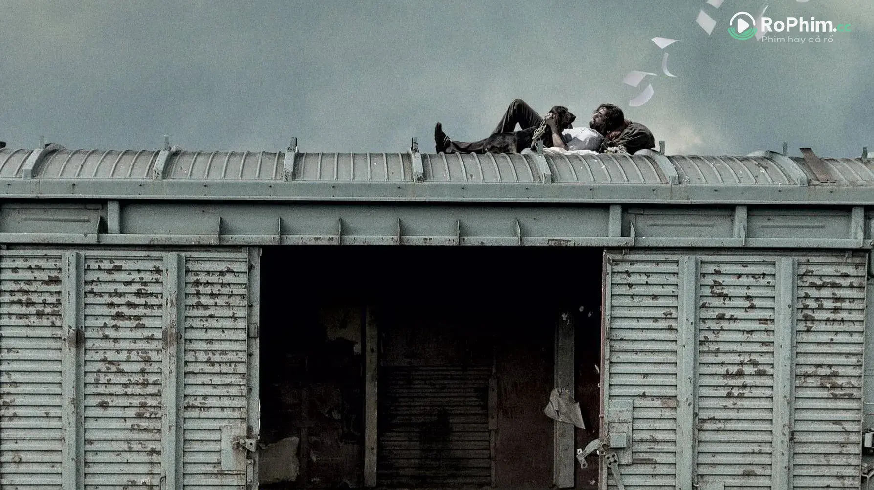 Sidney Hall Mất Tích Trong Đêm Tập Full