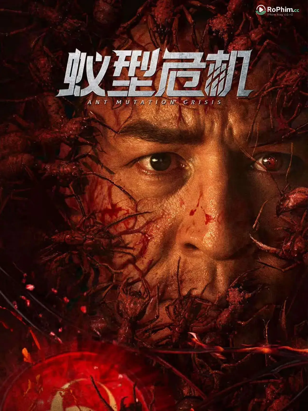 Thảm Họa Kiến Khiêu Gợi