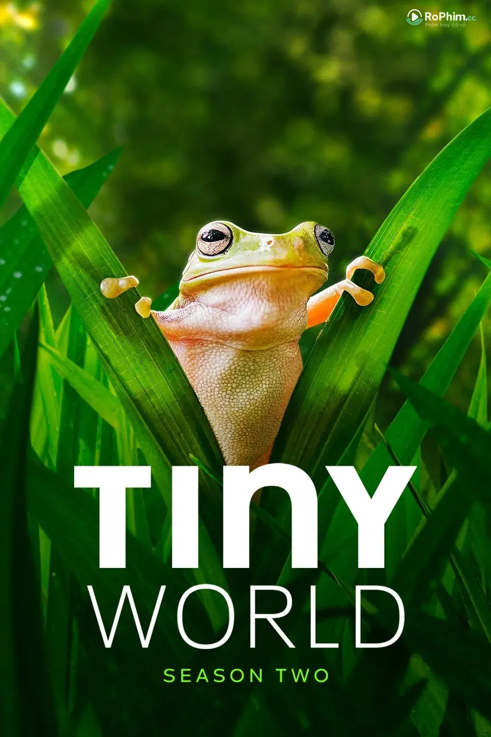 Thế Giới Bị Kích Thích  (Phần 2)