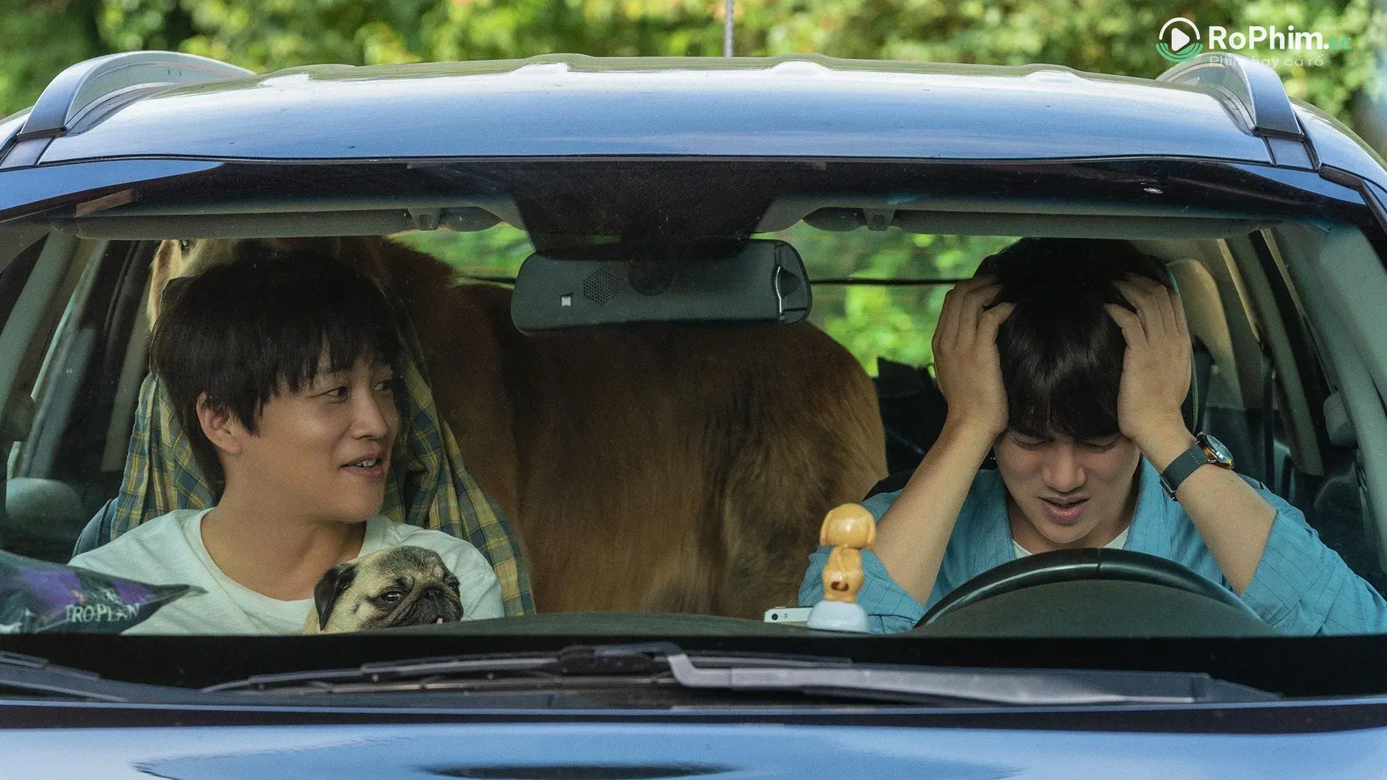 Tìm Chỗ Ở Cho Boss Yêu Thích Tập Full