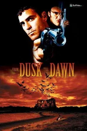 Trên Giường Từ Hoàng Hôn Đến Bình Minh