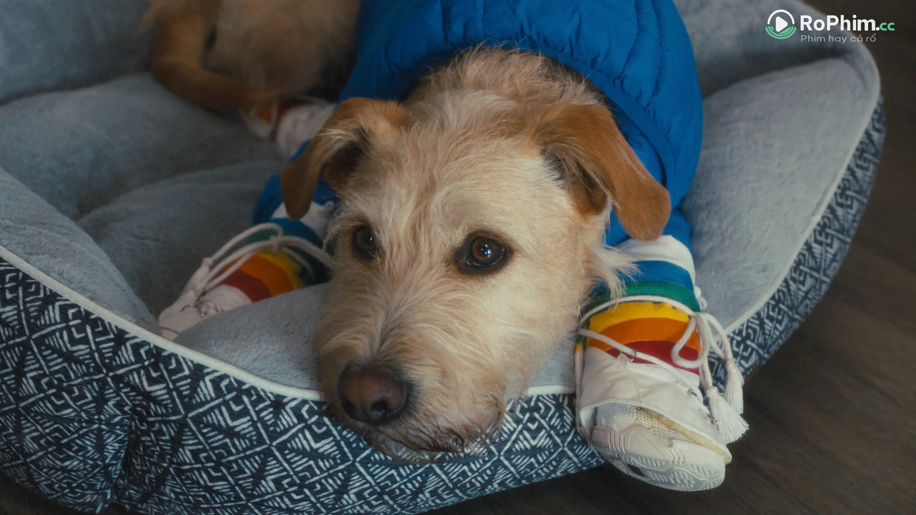 Merv: Cuộc Phiêu Lưu Nóng Bỏng Tập Full